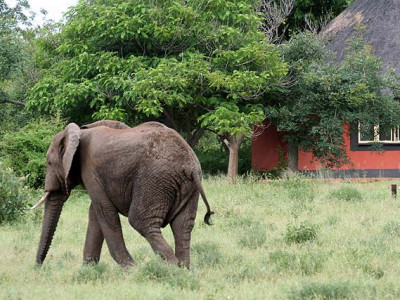 Mohlabetsi Safari Lodge