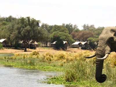 Anabezi Camp