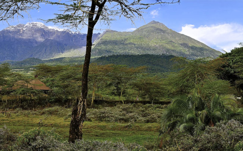 Hatari Lodge