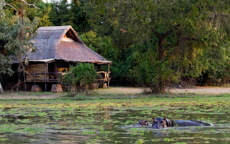Mfuwe Lodge