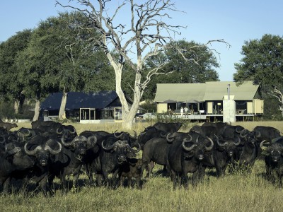 Linkwasha Camp