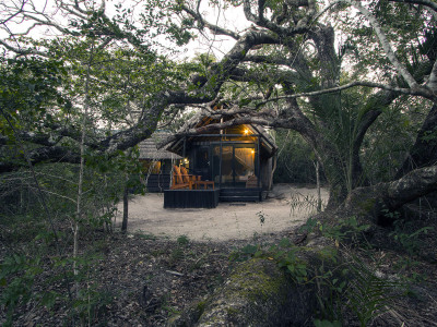 Kosi Forest Lodge