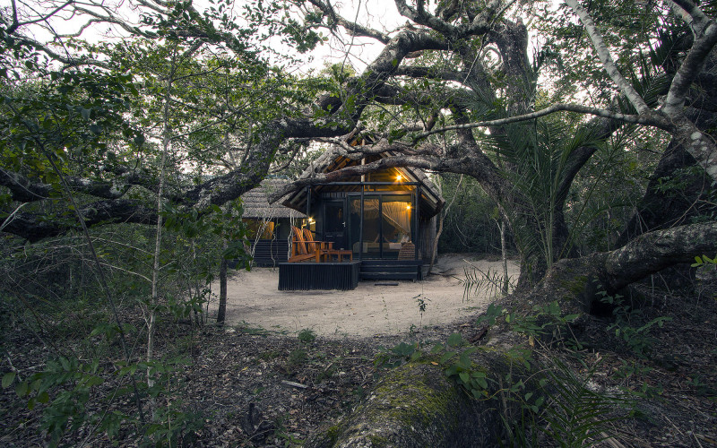 Kosi Forest Lodge