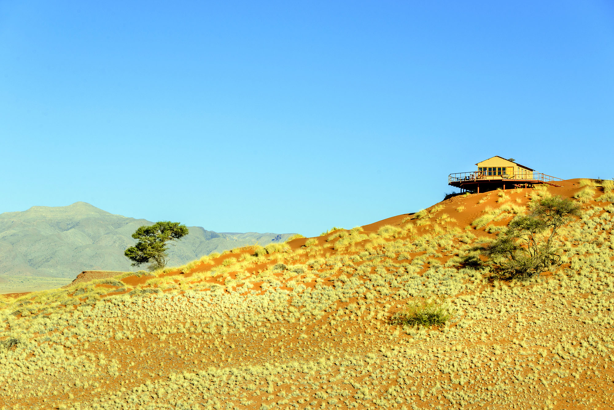 Namib Dune Star Camp - Bild 5