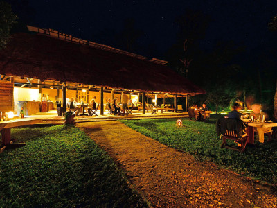 Ishasha Wilderness Camp