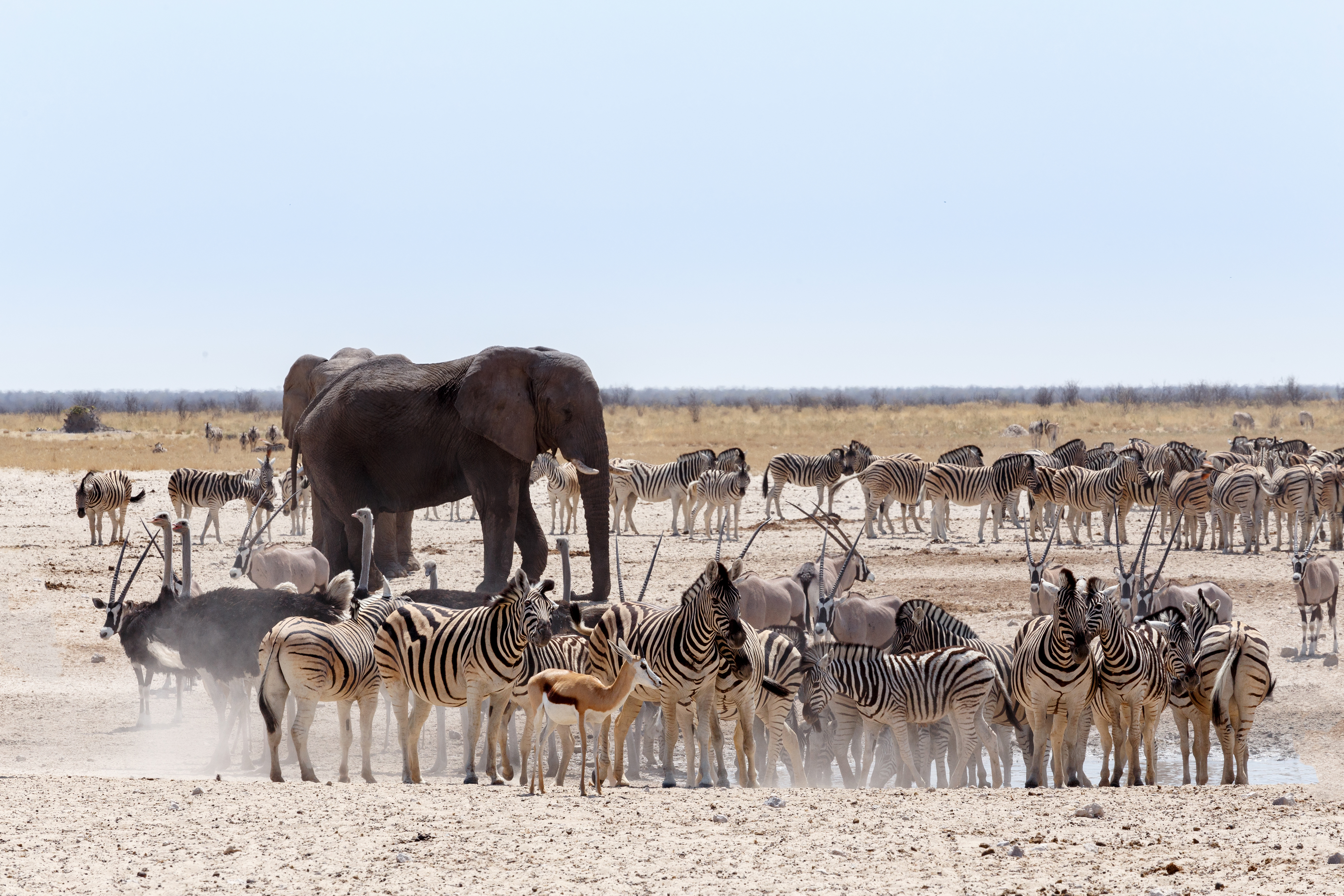 Namibia