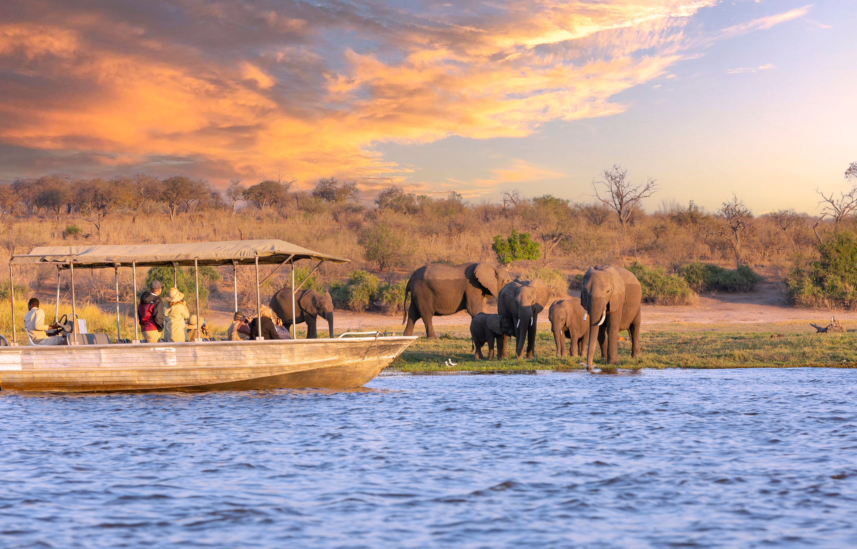 Chobe Nationalpark