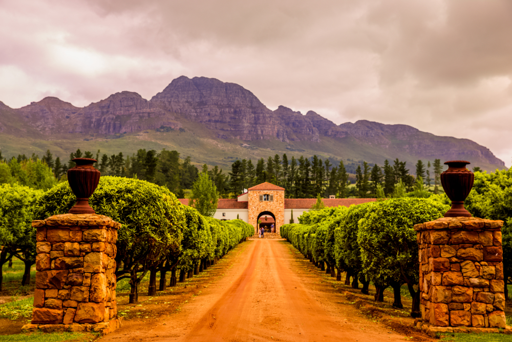 Weinregion Stellenbosch
