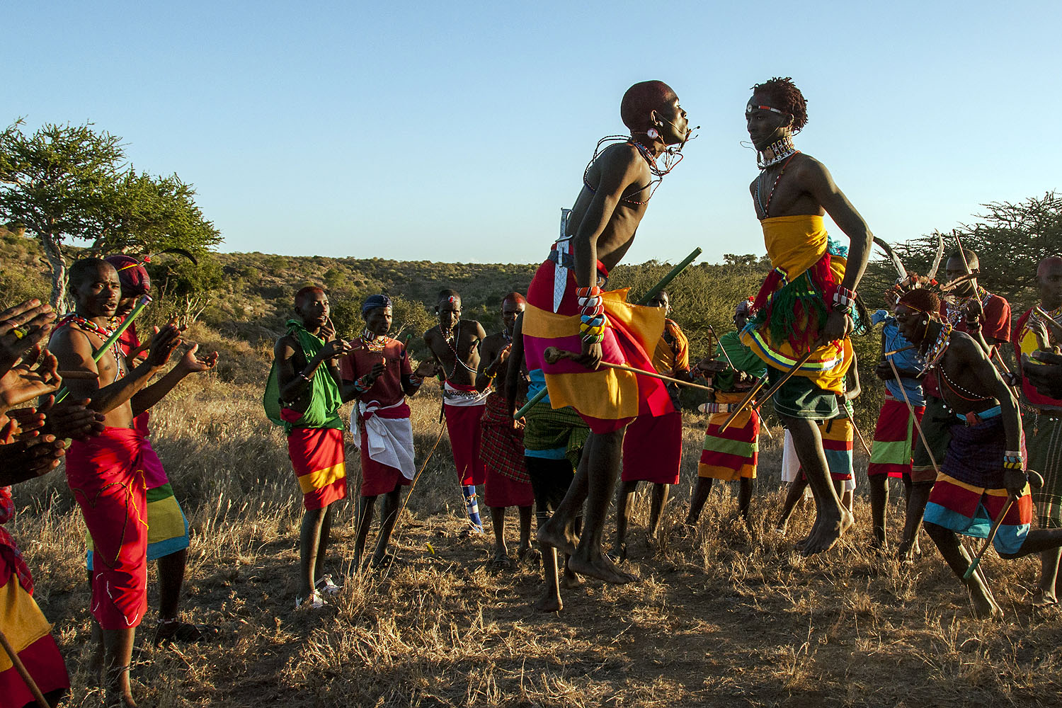 Maasai-Krieger führen in traditioneller Kleidung einen Sprungtanz während einer kulturellen Vorführung in Kenia auf.