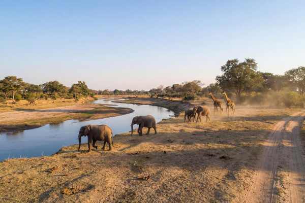 Sambias wilde Seite entdecken – Aktive Safari im South Luangwa 
